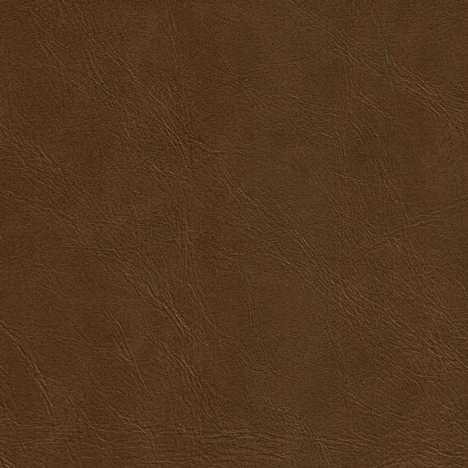 CODA_COGNAC_002586_3000x.jpg