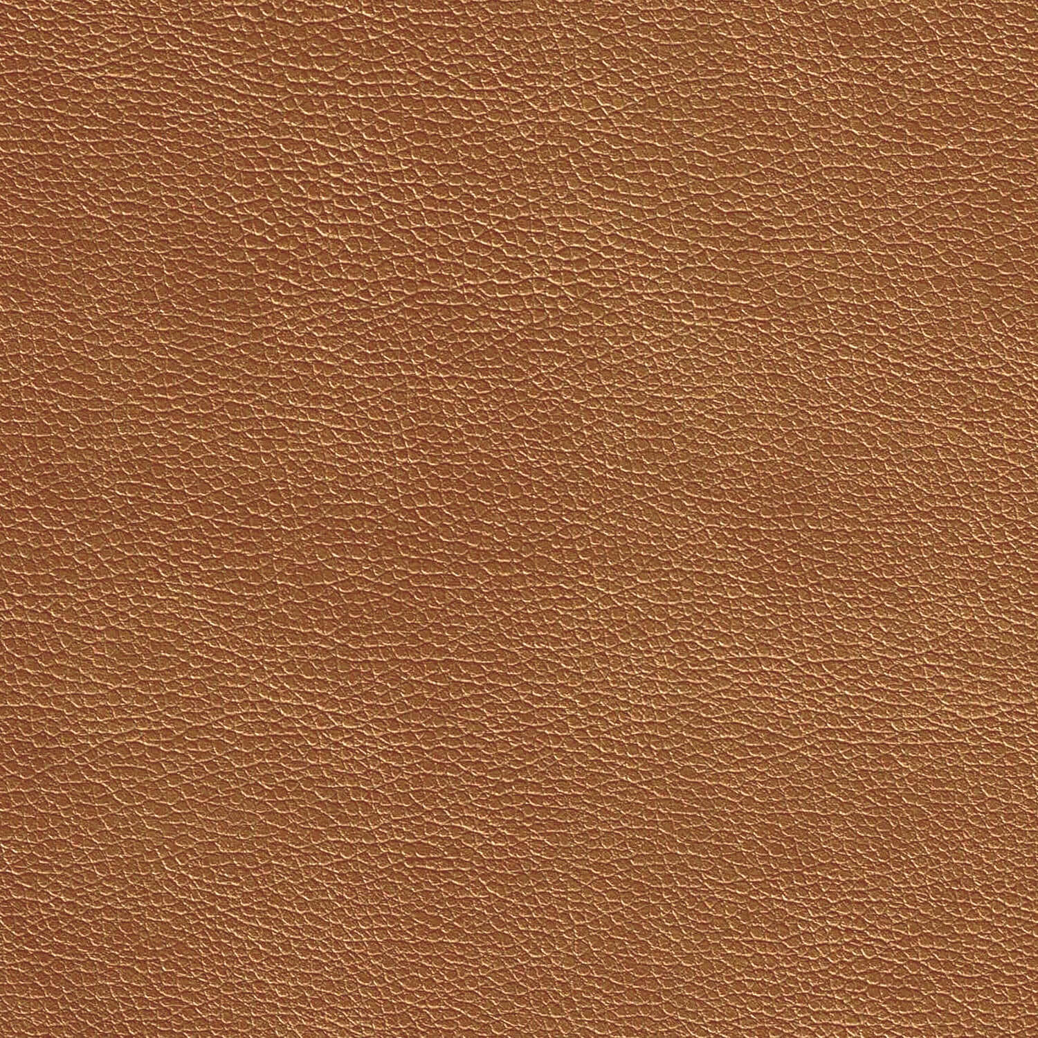 GLITZ_CURRY_002562_3000x